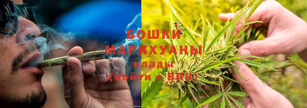 ГАЛЛЮЦИНОГЕННЫЕ ГРИБЫ Елабуга