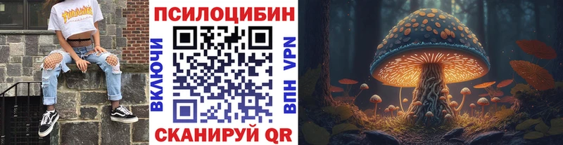Галлюциногенные грибы Psilocybe Ардатов